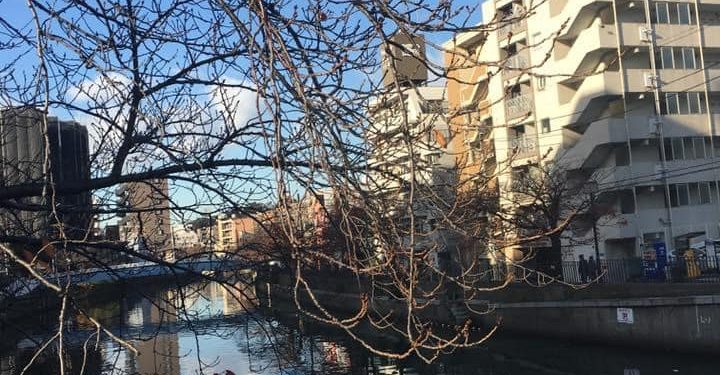 Nikmat yang Disyukuri