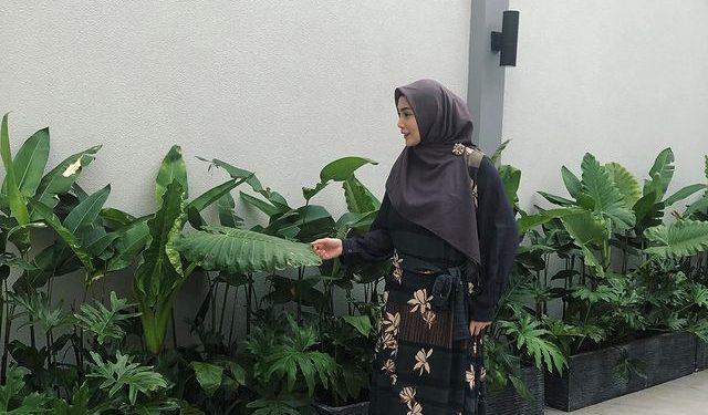 Viral Tanaman Hias, Ini 5 Publik Figur Perempuan Inspiratif yang Ikut Memelihara