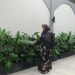 Viral Tanaman Hias, Ini 5 Publik Figur Perempuan Inspiratif yang Ikut Memelihara