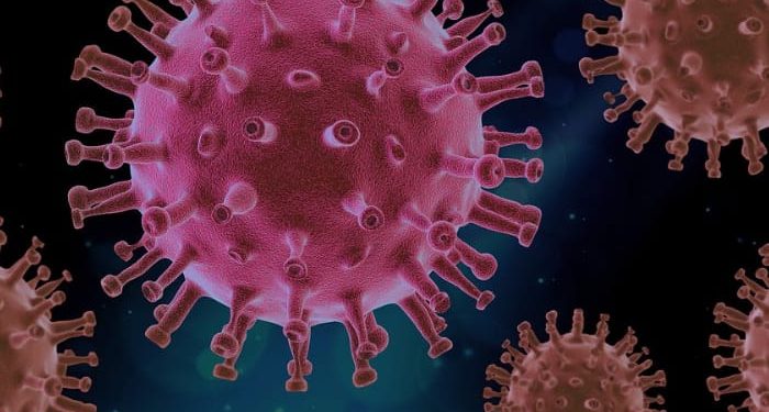 Tangani Covid-19, Amerika Serikat dan Muhammadiyah Buat Sistem Penanganan Covid-19