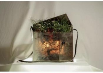 Dukung Sustainable Fashion, Universitas Ciputra Surabaya Luncurkan Karya Bertema Ecocreate