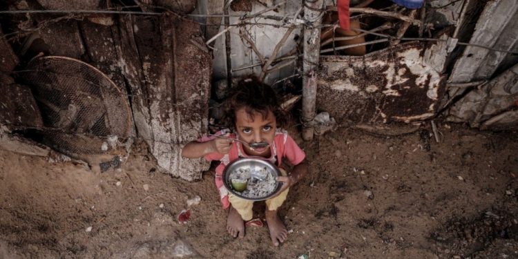 Respon Tingginya Tingkat Pengangguran di Gaza, ACT Luncurkan Program Sister Family Palestine-Indonesia