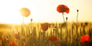 Empat Wanita Teladan Penghulu Surga