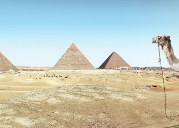 Catat Aturan ini agar Wisata ke Turki dan Mesir Lancar