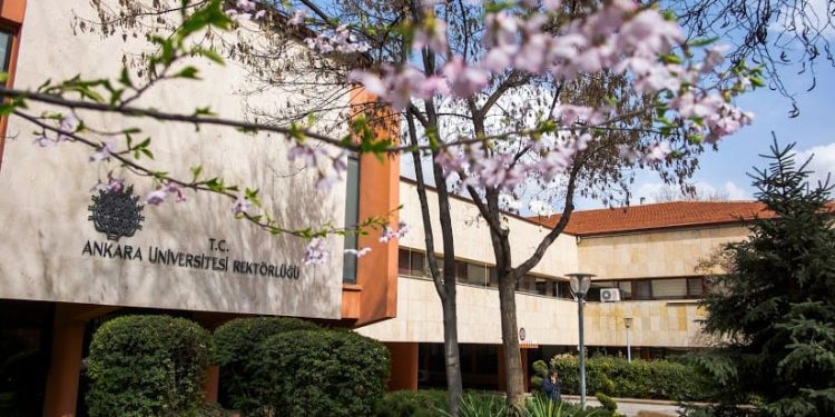 International Theology Undergraduate Scholarship, Kuliah Sarjana Gratis serta Kursus Persiapan Bahasa