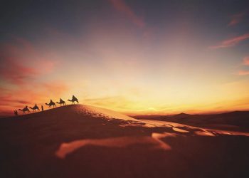 Kesetiaan Rasulullah kepada Kerabatnya