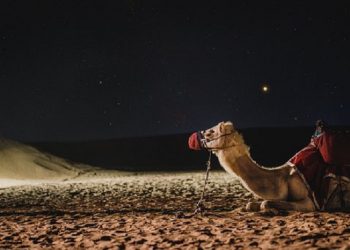 Kisah Nabi Muhammad saat Ingin Melihat Pertunjukan Musik