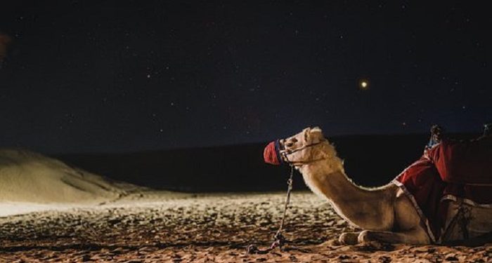 Kisah Nabi Muhammad saat Ingin Melihat Pertunjukan Musik