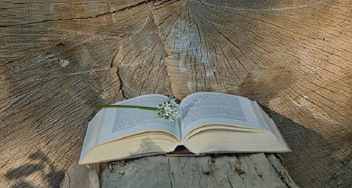 Kisah Aisyah, Guru dari Para Guru