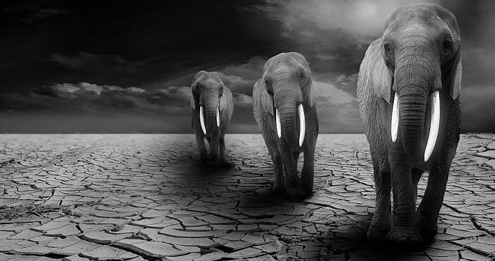 Kisah Penyerangan Pasukan Abrahah