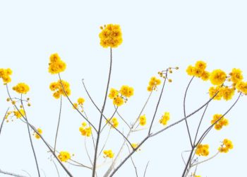 Doa Agar Galau Sirna Segera