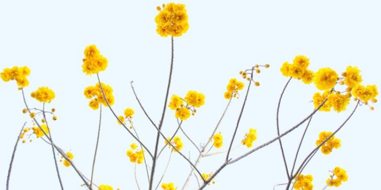 Doa Agar Galau Sirna Segera