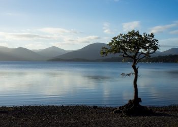 Syukur itu membuat nikmat berkualitas (ilustrasi: nature)