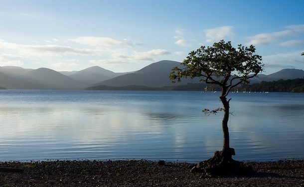 Syukur itu membuat nikmat berkualitas (ilustrasi: nature)