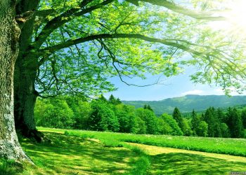 Membalas keburukan dengan kebaikan