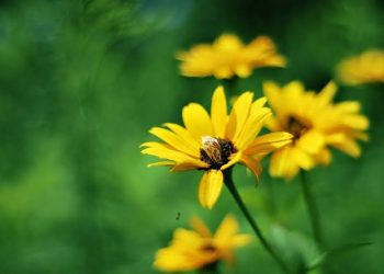 5 Nikmat yang Harus Disyukuri Suami Istri