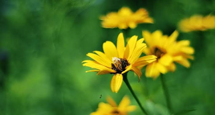 5 Nikmat yang Harus Disyukuri Suami Istri