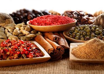 Cara Mudah Usir Semut dengan 5 Bahan Alami Ini