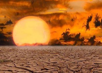 Diplomasi Perubahan Iklim di Indonesia