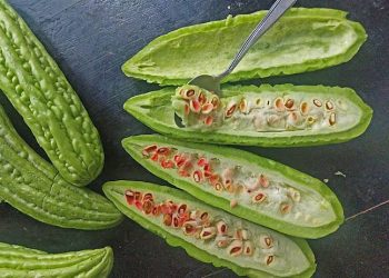 Ini Tiga Bahan Alami Ampuh Hilangkan Rasa Pahit Pare