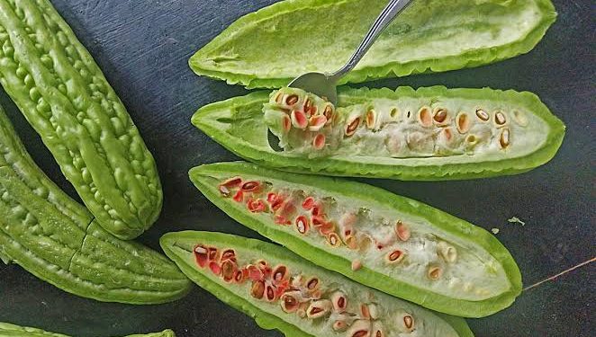 Ini Tiga Bahan Alami Ampuh Hilangkan Rasa Pahit Pare