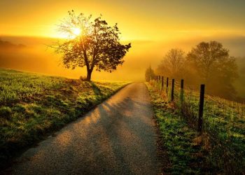 Ini Empat Waktu Istimewa Membaca Surat Al-Ikhlas, Al-Falaq, An-Naas