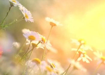 Balasan Sempurna di Hari Nan Istimewa