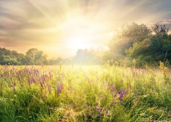 Ini Zikir Luar Biasa yang Wajib Dibaca Selepas Subuh hingga Dhuha