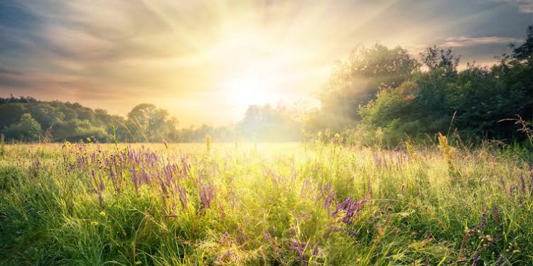 Ini Zikir Luar Biasa yang Wajib Dibaca Selepas Subuh hingga Dhuha