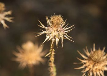 Wajib Dihindari, Ini 8 Perilaku Penyebab Datangnya Bencana dari Allah