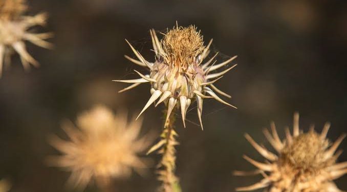 Wajib Dihindari, Ini 8 Perilaku Penyebab Datangnya Bencana dari Allah