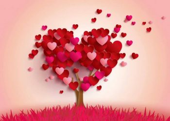 Bumbu-Bumbu Keharmonisan Keluarga