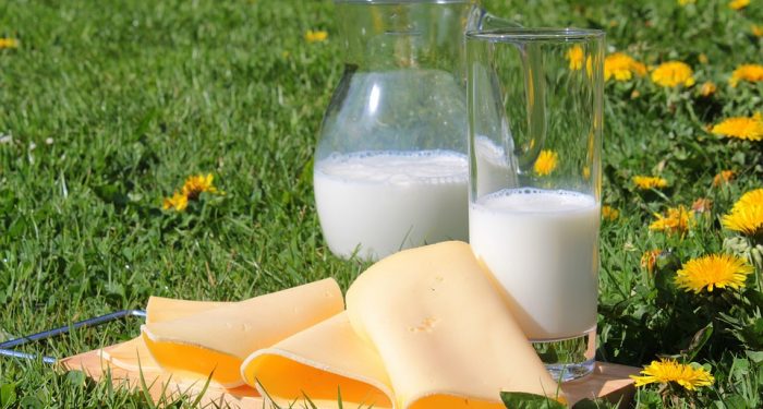 Ketahui 5 Jenis Makanan Berkalsium Tinggi