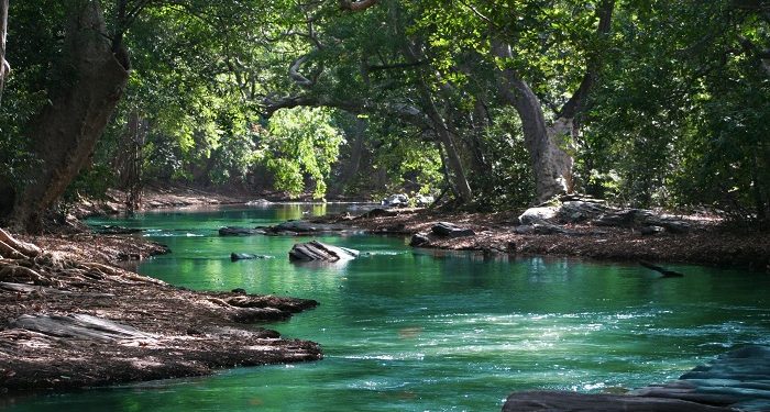 Perjuangan Panjang Menjaga Keikhlasan (foto: pexels/Ian Turner)