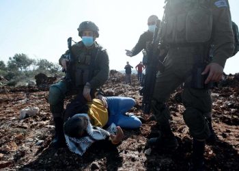 Sebanyak 456 Warga Palestina Ditangkap oleh Israel pada Bulan Januari