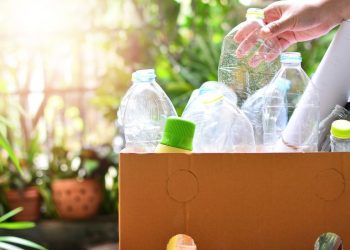 7 Tips Mengelola Sampah dari Rumah