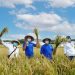 TaniFund dan Intani Gelar Panen Perdana Budidaya Padi di Sukabumi