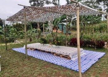 Piknik Privat di OJ Organic Farm