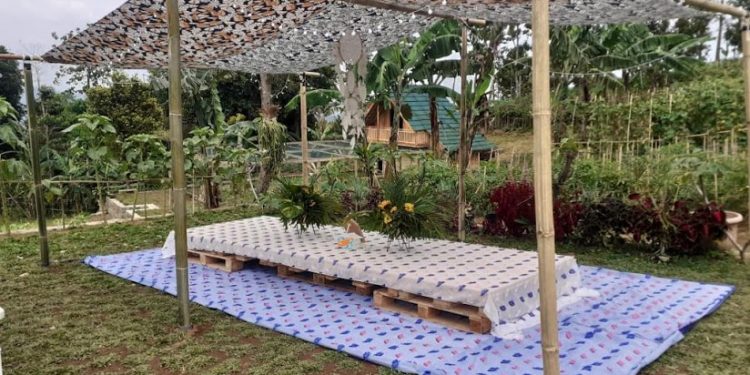 Piknik Privat di OJ Organic Farm