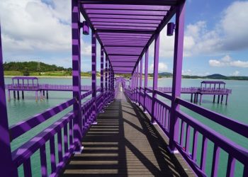 Pulau Ungu di Korea Selatan Menarik Wisatawan