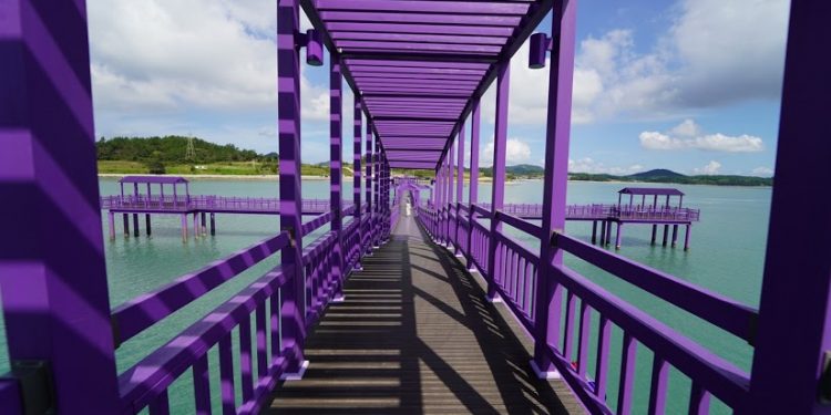 Pulau Ungu di Korea Selatan Menarik Wisatawan