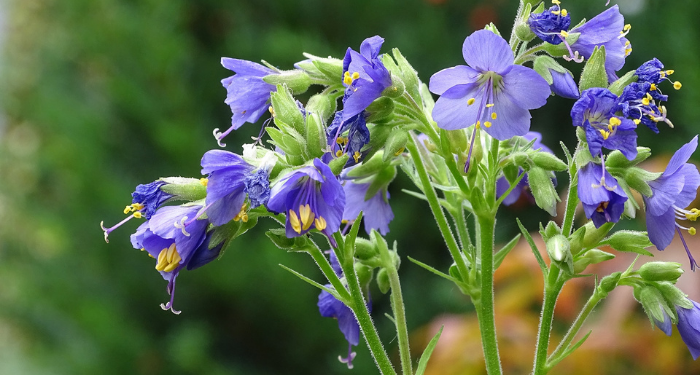 Metode Islah Al-Ghazali Miliki Tiga Landasan