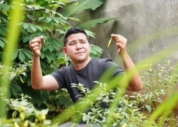 Trik Menanam Cabe dari Haykal Kamil