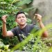 Trik Menanam Cabe dari Haykal Kamil