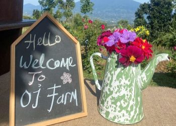 OJ Organic Farm, Referensi Private Picnic Keluarga