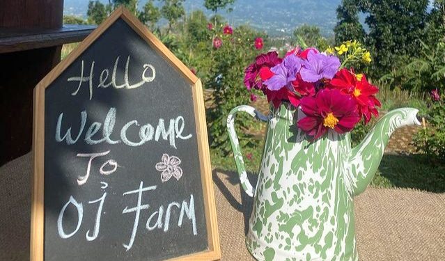 OJ Organic Farm, Referensi Private Picnic Keluarga