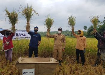 Berkah Zakat, Wujudkan Ketahanan Pangan Di Desa Sindangsari