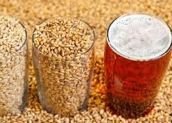 Hukum Minuman Malt dalam Tinjauan Syar'i