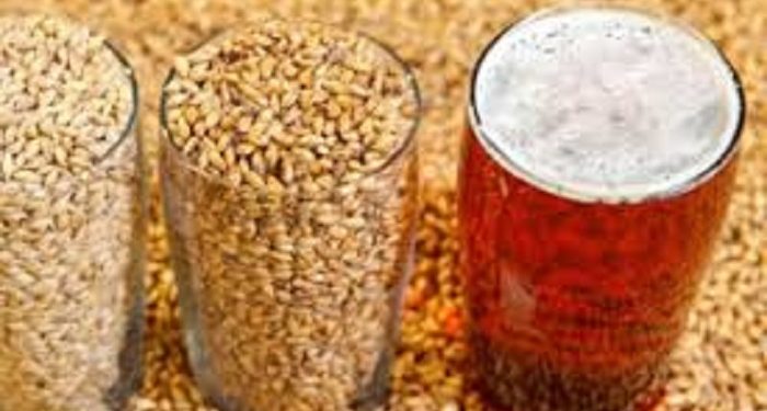 Hukum Minuman Malt dalam Tinjauan Syar'i