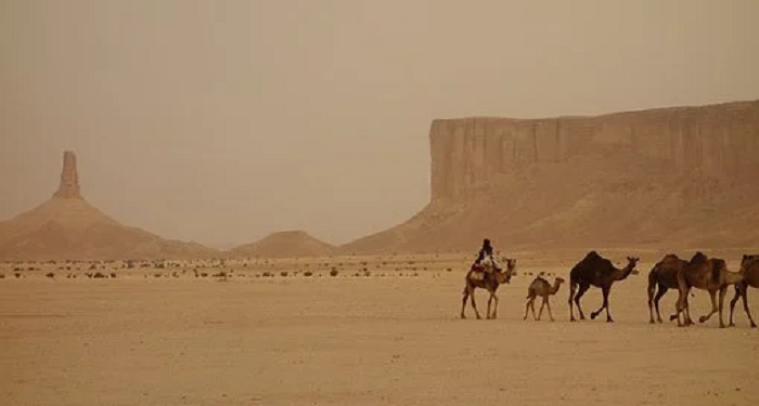 Kisah Hijrah Rasulullah ke Tha’if